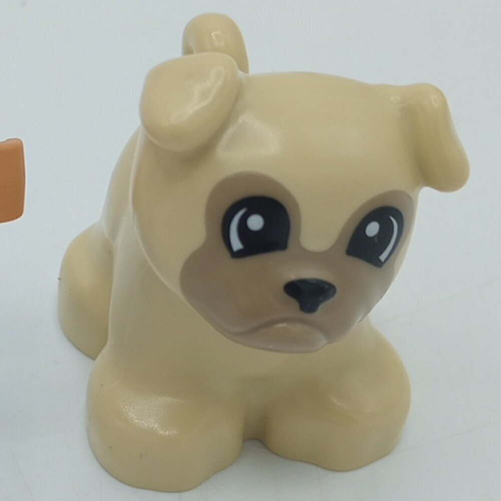 LEGO DUPLO Figures Lot of 3 Boy Girl Dog Family Pet Set Toddler Preschool Buildi - Picture 10 of 13